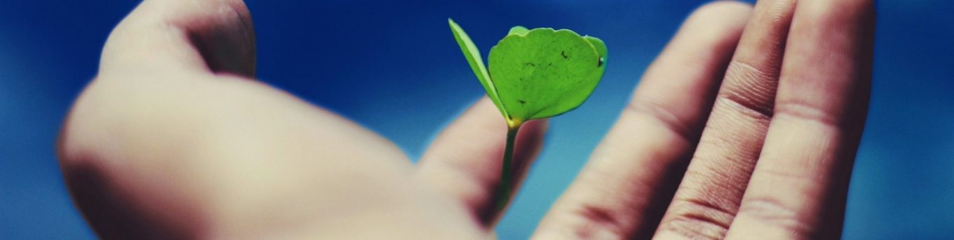 Foto von name_ gravity auf Unsplash Gemeinsam mehr erreichen